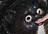 14e091b4.jpg