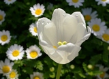 1f4916eb.jpg