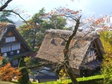 3d343738.JPG