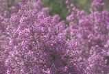 4d25055b.jpg