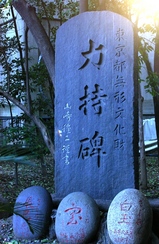 73b031d8.jpg