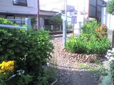 8a71f658.jpg