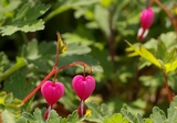 9b801a4d.jpg