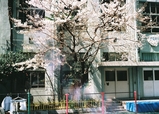 df43d3f9.jpg