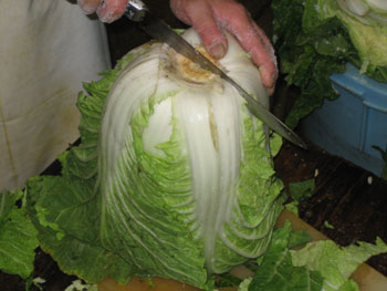 白菜漬その１