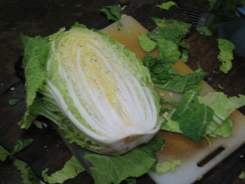 白菜漬その２
