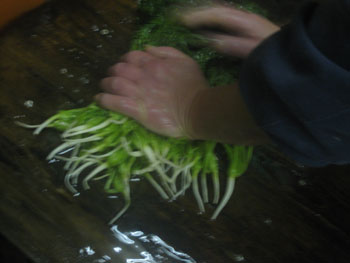 本漬その1