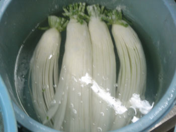 あら漬その4