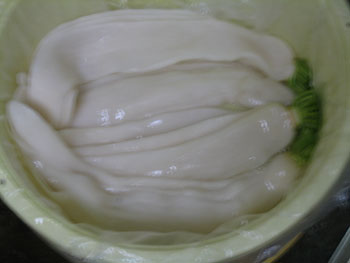 本漬その3