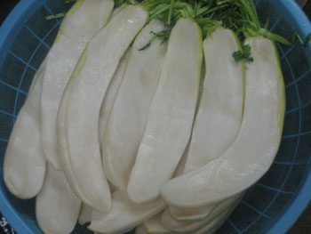 本漬編その3