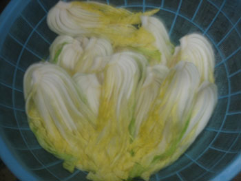 あら漬その４