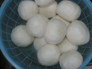 あら漬その1