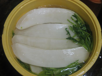 本漬編その1