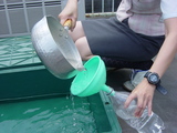 雨水の取組み-1