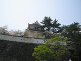 38a5a169.JPG
