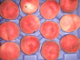 bd0030fa.JPG