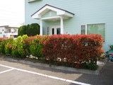 広瀬の垣根