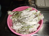 タラの芽に小麦粉をまぶす