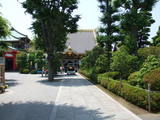 e1f9136d.JPG
