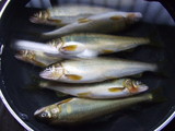 鮎の下ゆで