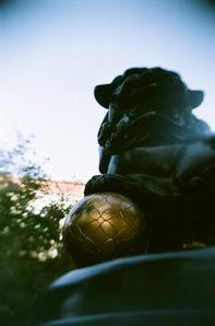 07960011