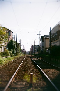 07950008