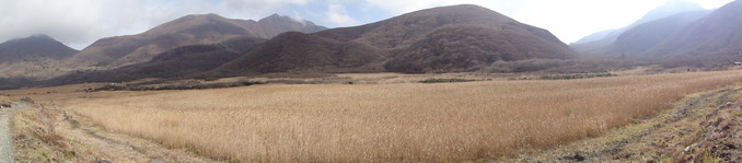 DSC00197