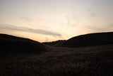 DSC_0190