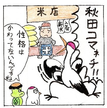 ¥³¥Þ¥Í¥Á£³