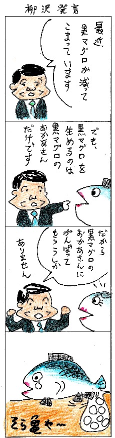 柳沢発言の真意