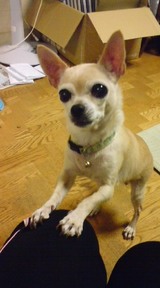 2cf52d9a.jpg