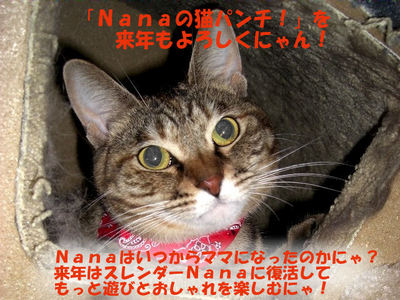 2008Nana挨拶
