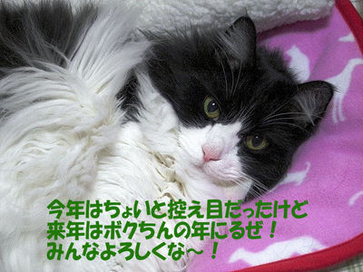 2008ぶ~たん挨拶