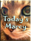 todaysmarcy