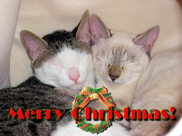 xmas08_3