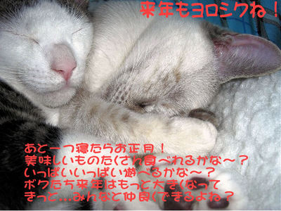2008チビーズ挨拶