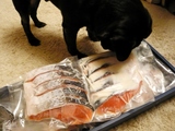 ���餡������������