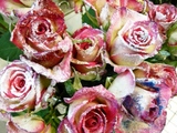 ¥¹¥×¥ì¡¼¤Ç¥¥é¥¥é¤ò¿á¤¤Ä¤±¤ë¤ó¤À¤Ã¤Æ¡ª