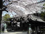DSCN1285