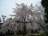 DSCN1209