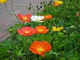 DSCN1229