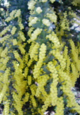 6a37d791.jpg