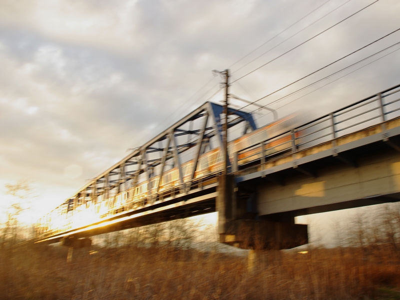 IMGP3548