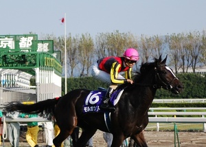 16��륬�ʥ���