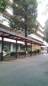 739f7d27.jpg