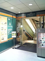 71b31d01.jpg