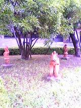 05-07-06_09-45.jpg