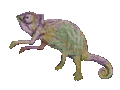 05688989.gif