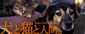 �ǲ�ָ���ǭ�ȿʹ֤ȡ�