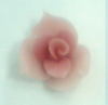 20091028o-2